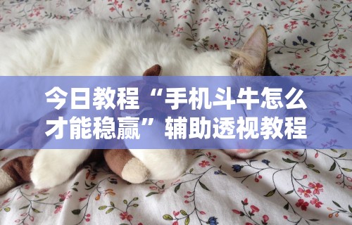 今日教程“手机斗牛怎么才能稳赢	”辅助透视教程