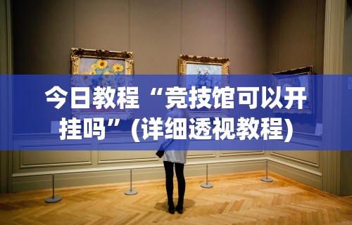教程解析“推筒子二八杠最新黑科技”开挂辅助脚本+详细开挂