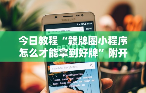 今日教程“赣牌圈小程序怎么才能拿到好牌	”附开挂脚本详细步骤