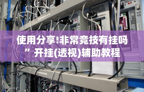 玩家必学攻略“新海贝之城有没有挂”2025开挂教程步骤