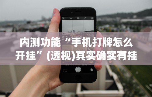 内测功能“手机打牌怎么开挂”(透视)其实确实有挂