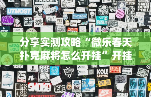 安装程序教程“广西星悦麻将开挂器”(详细透视教程)-