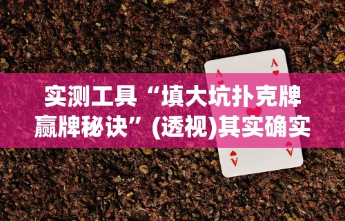实测工具“填大坑扑克牌赢牌秘诀”(透视)其实确实有挂