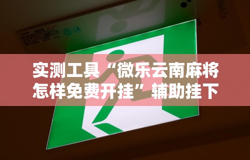 实测工具“微乐云南麻将怎样免费开挂”辅助挂下载
