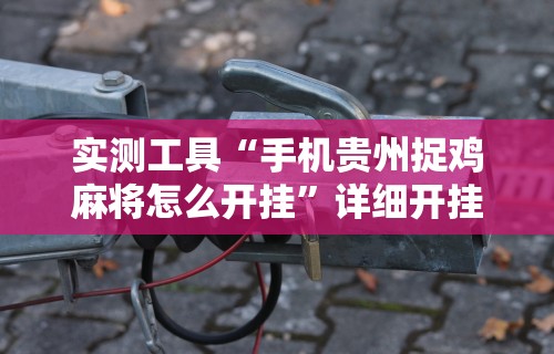 实测工具“手机贵州捉鸡麻将怎么开挂”详细开挂教程