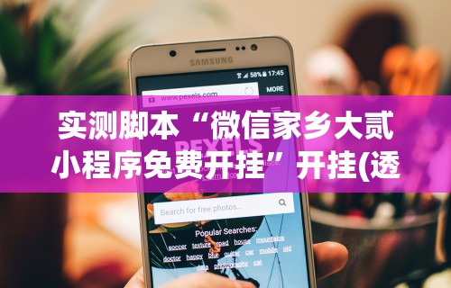 实测脚本“微信家乡大贰小程序免费开挂”开挂(透视)辅助教程