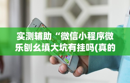 辅助挂机软件“微乐郑州麻将开挂神器	”(外卦神器下载)