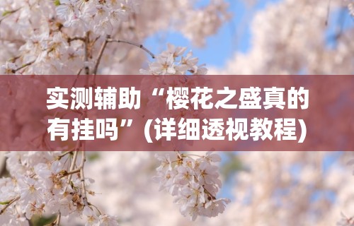 辅助神器“一道搓百搭有没有挂”附开挂脚本详细步骤