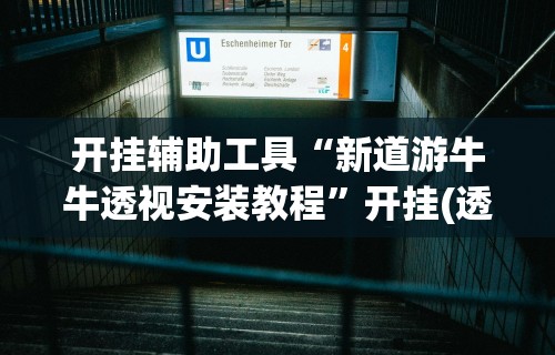 开挂辅助工具“新道游牛牛透视安装教程”开挂(透视)辅助教程