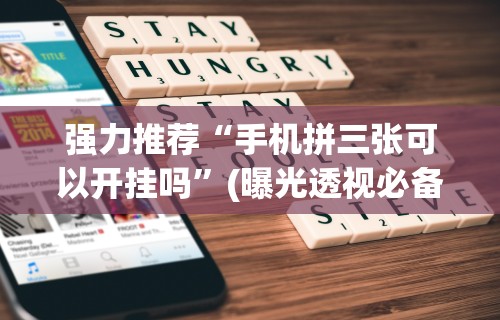 【第一攻略】“友间十三张开挂有风险吗”掌握辅助功能必胜规则