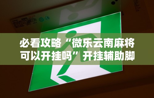 必看攻略“微乐云南麻将可以开挂吗”开挂辅助脚本+详细