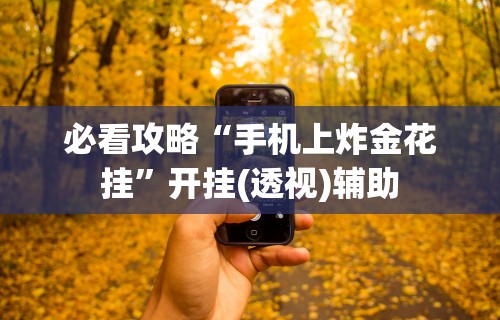 必看攻略“手机上炸金花挂”开挂(透视)辅助