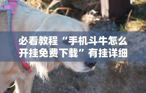 必看教程“手机斗牛怎么开挂免费下载”有挂详细开挂教程