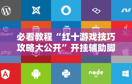 必看教程“红十游戏技巧攻略大公开”开挂辅助脚本+详细开挂