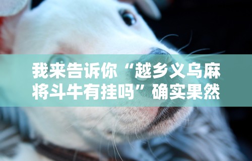 我来告诉你“越乡义乌麻将斗牛有挂吗	”确实果然有挂