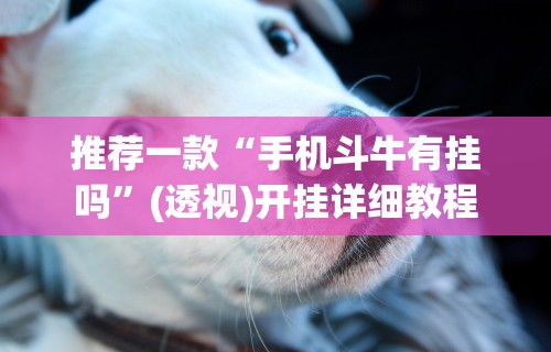 【知道】“牵手益阳棋牌有什么猫腻”(透视)辅助透视教程