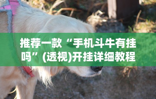 8秒详论“小吆广东麻将有挂吗”有挂详细开挂教程