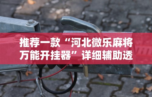 辅助神器“四方河南麻将可以开挂吗”开挂(透视)辅助教程
