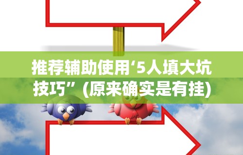 推荐辅助使用‘5人填大坑技巧	”(原来确实是有挂)