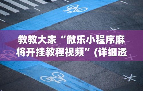 教程解析“微乐湖南麻将万能开挂器通用版”-玩家曝光开挂流程