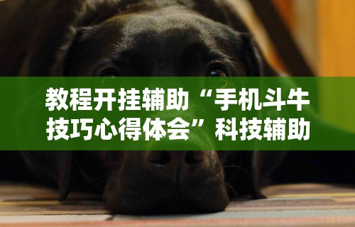 软件分享“微乐斗地主亲友房为啥总是输	”附透视挂详细教程
