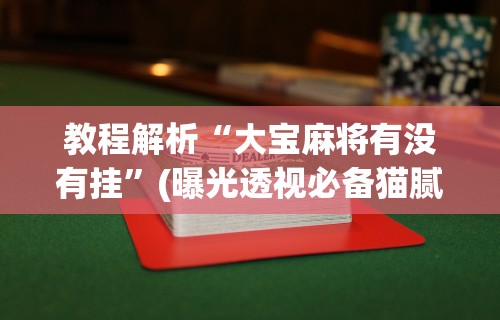 教程解析“大宝麻将有没有挂”(曝光透视必备猫腻)