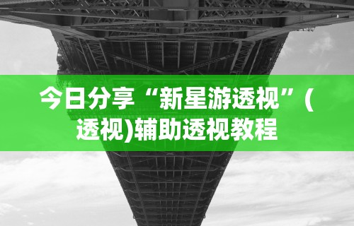 今日分享“新星游透视”(透视)辅助透视教程