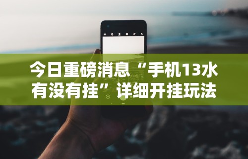今日重磅消息“手机13水有没有挂	”详细开挂玩法