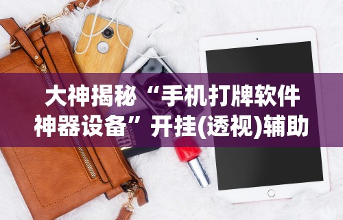 五分钟了解赫麒众游杰克辅助”开挂(透视)辅助教程