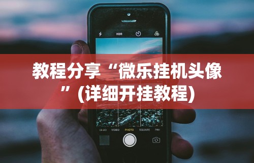教程分享“微乐挂机头像”(详细开挂教程)