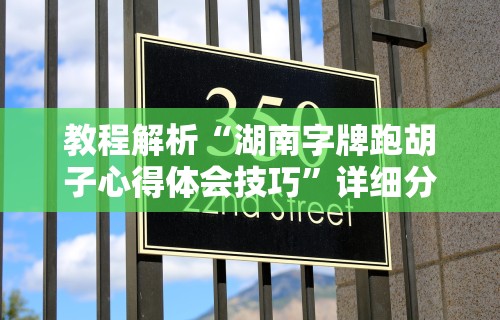 教程解析“湖南字牌跑胡子心得体会技巧	”详细分享装挂步骤教程