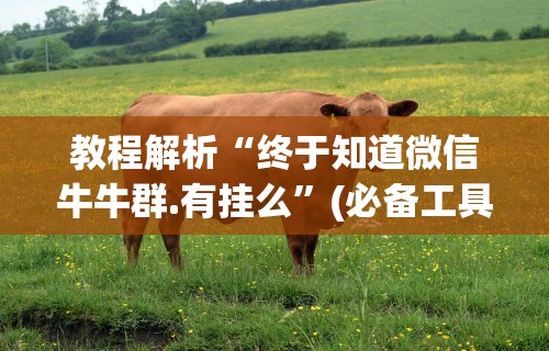 真实辅助“雀神广东麻将开挂通用版	”详细开挂安装教程