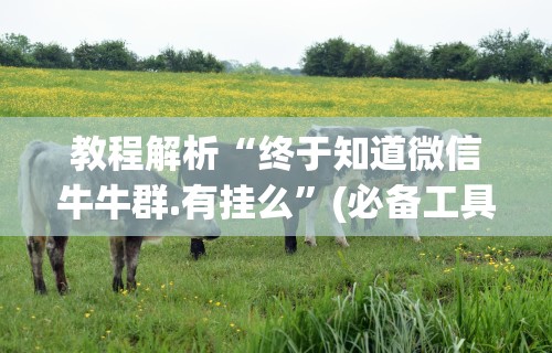 独家实测“十三水玩牌技巧”确实有挂
