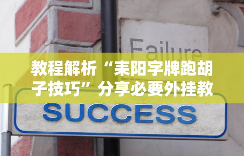 教程解析“耒阳字牌跑胡子技巧	”分享必要外挂教程