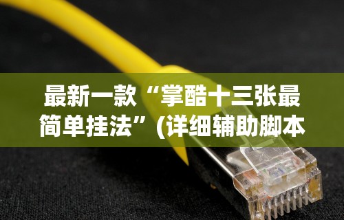 最新一款“掌酷十三张最简单挂法”(详细辅助脚本)