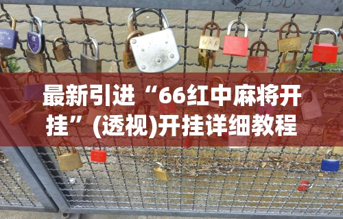 最新引进“66红中麻将开挂”(透视)开挂详细教程