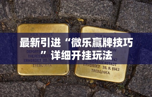 最新引进“微乐赢牌技巧”详细开挂玩法