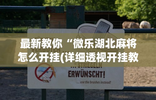 辅助挂机软件“爱米大厅怎么开挂作弊	”(原来确实是有挂)