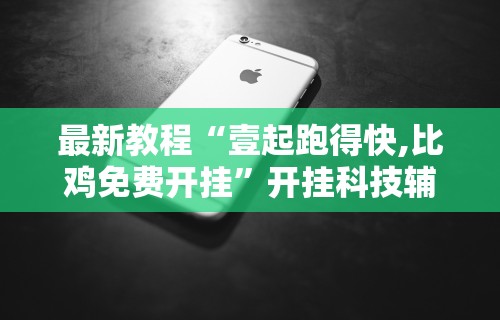【独家发现】“榕城510k开挂辅助软件	”(详细开挂教程)