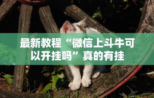 最新教程“微信上斗牛可以开挂吗”真的有挂