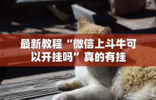 【知识科普】“同城跑胡子有没有做假”附开挂脚本详细步骤