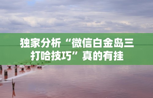 秒懂经验“河北约牌吧可以开挂吗”分享必要外挂教程