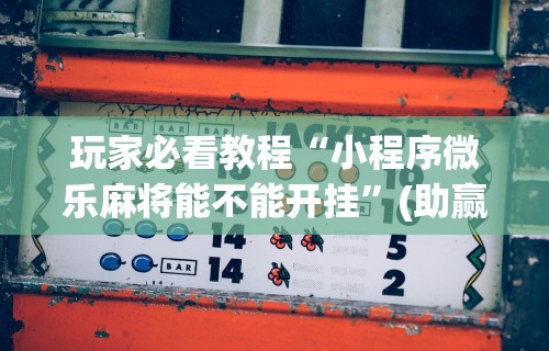 辅助最新信息“微乐陕西麻将挂多钱	”开挂(透视)辅助教程