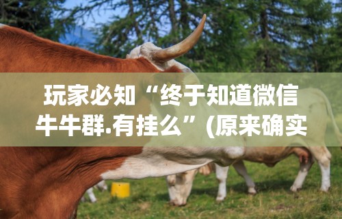 玩家必知“终于知道微信牛牛群.有挂么”(原来确实是有插件)