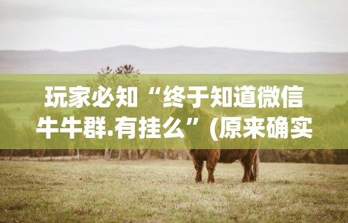 玩家必知“终于知道微信牛牛群.有挂么”(原来确实是有插件)