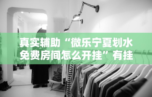 真实辅助“微乐宁夏划水免费房间怎么开挂	”有挂详细开挂教程