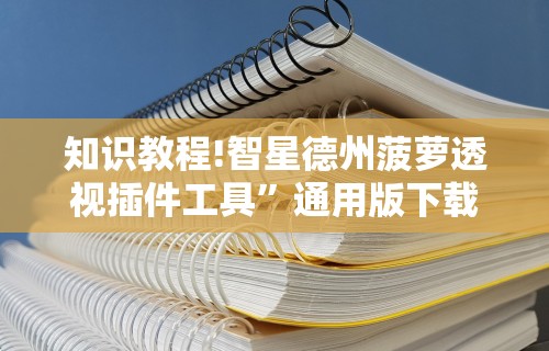 知识教程!智星德州菠萝透视插件工具”通用版下载教程
