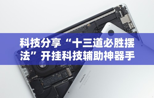 科技分享“十三道必胜摆法	”开挂科技辅助神器手机