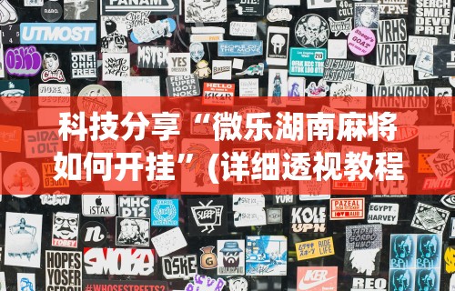 科技分享“微乐湖南麻将如何开挂”(详细透视教程)-