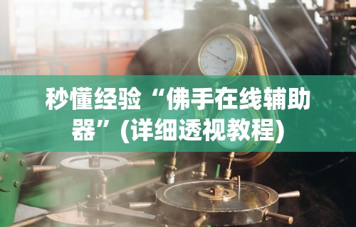 秒懂经验“佛手在线辅助器”(详细透视教程)